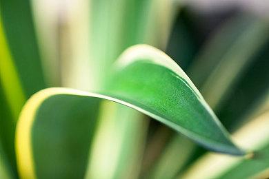 《吸血鬼避世血族2》修改器推荐，解锁全部能力与服装！